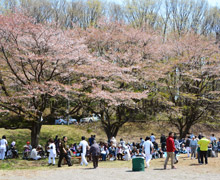 2014年お花見会1