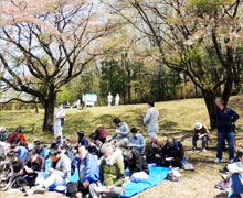 2015年お花見会3