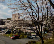 2019年お花見会5