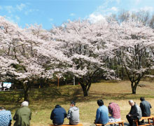 2023年お花見会1